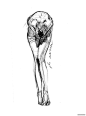 百家人体结构画法 之 腿部-大腿动作