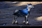 Harry Potter - Buckbeak - Full Body, Tony Camehl : okay this is the last Buckbeak concept I did just to show you guys how I imagine the full body of buckbeak. Also created a 'size sheet' to show you how tall buckbeak is in comparison to Harry Potter and H