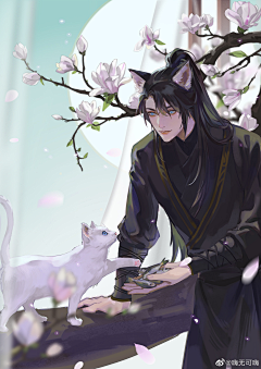 北棠微雨采集到二哈和他的白猫师尊