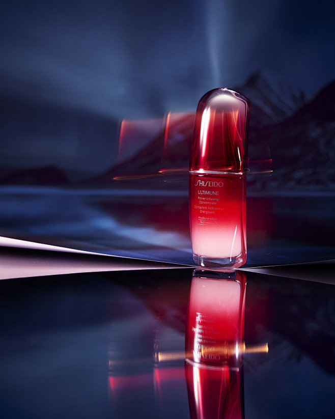 shiseido (1)