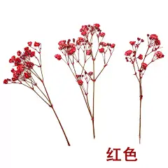 水晶滴胶长枝满天星 干花押花压花 手工制作手镯diy材料 饰品配件-tmall.com天猫