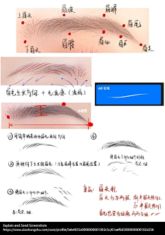 ♚画情采集到自传