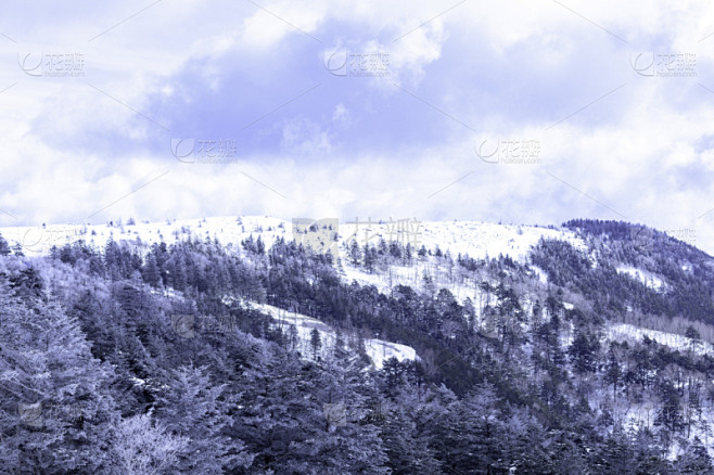 冬天,雪,日本,安静,云,深雪,木制,晴朗,长野城,白色