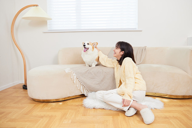 摄图网_502360122_宠物犬和主人...