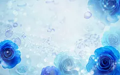 鲜花背景壁纸1920X1200(第66张)