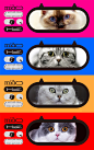 猫粮品牌包装设计-古田路9号-品牌创意/版权保护平台