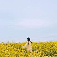 Annki采集到❀日系小清新❀