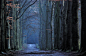 Going on another blue walk by jchanders