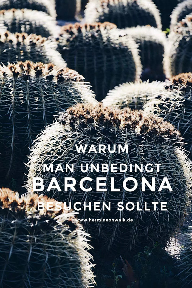 Wart ihr schonmal in...