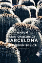 Wart ihr schonmal in Barcelona ? Wenn nicht, dann solltet ihr das unbedingt nachholen, denn das ist eine echt tolle Stadt. Ich habe euch meine 4 Hauptgründe aufgelistet, wieso mir Barcelona so gut gefallen hat. | Hermine on walk | Fotografie |