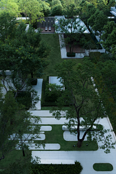 AnnkChioa采集到LA ︱ 宅间花园、林下空间
