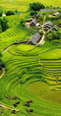 序~采集到风景图