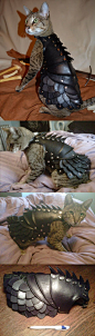funny-cat-outfit-costume-leather-armor@北坤人素材