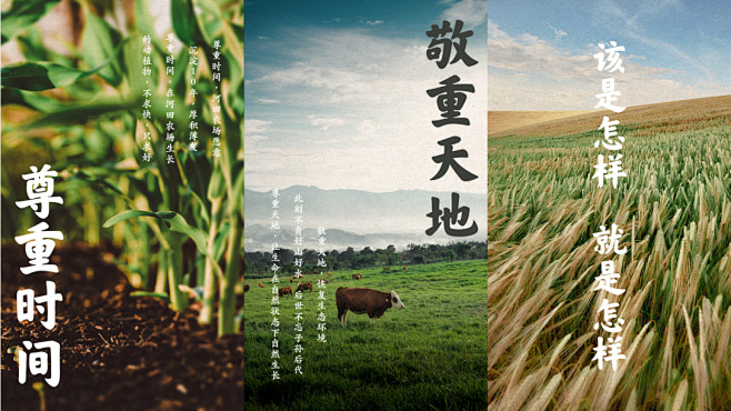 河田农场品牌视觉设计创意呈现-古田路9号...