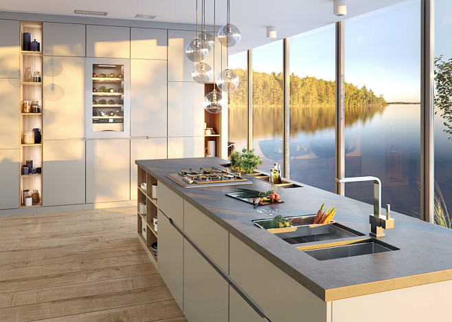 Alveus kitchens vol....