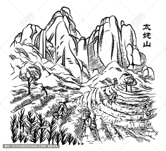 太姥山福鼎白茶采茶混合矢量线描enyeˇ采集到1采集item.taobao.