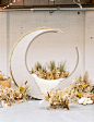 moon ceremony backdrop