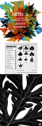 【每日素材！ps树叶笔刷】这些叶子笔刷是Jay Hilgert从他自己的后院挑选并扫描然后做出这种高分辨率的Photoshop笔刷。有10个刷子集,其中大部分都是2500像素大小。@微盘 下载请戳：http://t.cn/zRM0Q4p @bubble丹 【附：9月优设笔刷+纹理+字体+界面组件干货大集合】http://t.cn/z8maWM4
