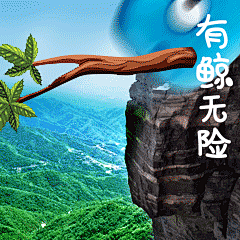 神鲸嘻嘻表情包