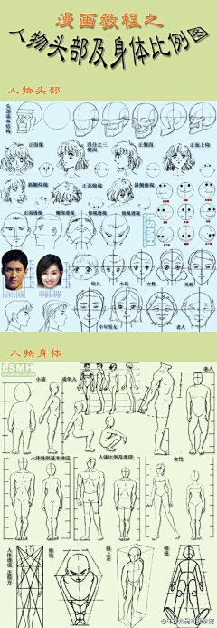 lRQ4VBN7采集到比例教程