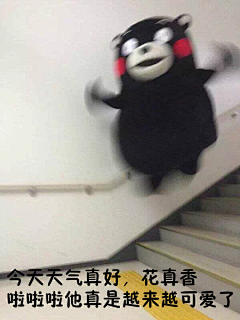 象和我采集到搞笑哦~
