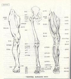 -背影-采集到人体