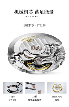 刘星羽采集到手表机芯