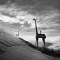 波兰摄影师Dariusz Klimczak：奇幻的超现实主义摄影  大学设计者联盟交流群：80658382 #采集大赛#