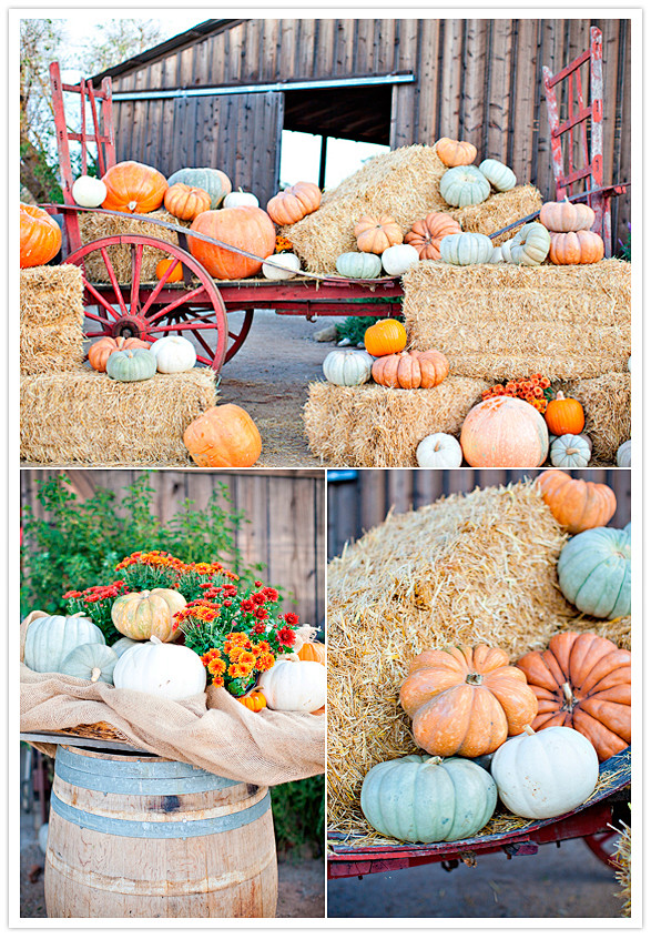 pumpkin and hay bale...