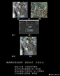 @麻辣爆炸小龙鳞 的个人主页 - 微博