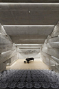 Peter Haimerl. Bavarian Concert Hall.: _gxz