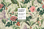 Phenomenal Flowers Pattern