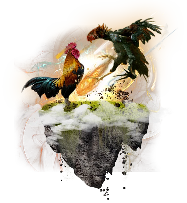 cockfight.png (600×650)-花瓣网