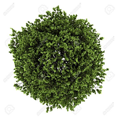 龇牙咧嘴的Mukaxi采集到素材