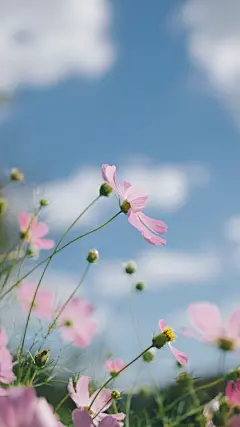 安静的小巷旁贩卖着秋天的暖阳。_手机壁纸_风景静物手机壁纸_我要个性网
