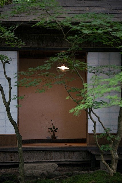 庭院
