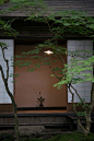 庭院