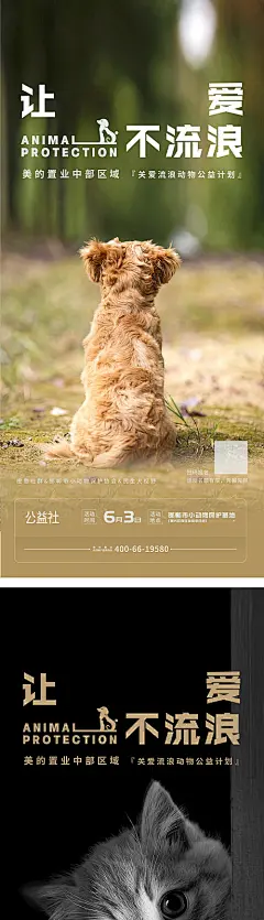 流浪狗公益海报-源文件分享-ywjfx.cn