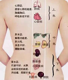 微笑的草莓采集到养生资料