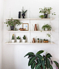 Love this plant shelf!: 