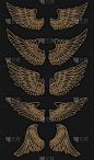 翅膀,金色,背景,黑色,分离着色,自然,概念,野生动物,布置,飞