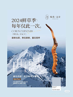 a37883154采集到滋补品