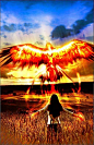 Healers are Spiritual Warriors who have found the courage to defeat the darkness of their souls. Awakening and rising from the depths of their deepest fears, like a Phoenix rising from the ashes. Reborn with a wisdom and strength that creates a light that