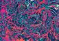 1527176328830697.jpg