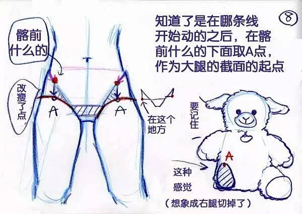 女性的腰胯的画法