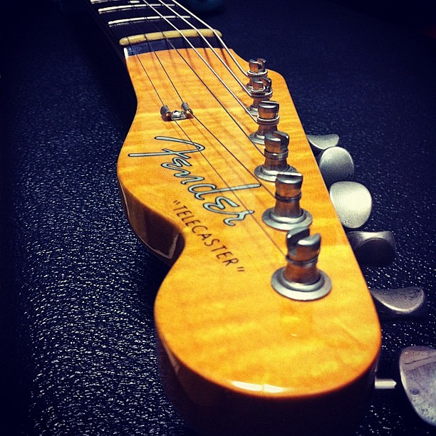 Fender Telecaster 原木...