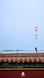紫禁城【二〇一九年•六月•生灵】“鸟雀呼晴，侵晓窥檐语” 照片取自@故宫博物院