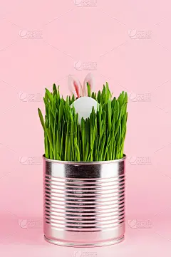 粉色复活节搞笑图片