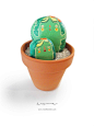 cactus_Irenefenollar