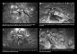 dawn-ang-sb-zyra-thumbs.jpg (1920×1344)